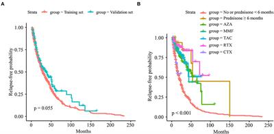 Deep learning-based relapse prediction of neuromyelitis optica spectrum disorder with anti-aquaporin-4 antibody